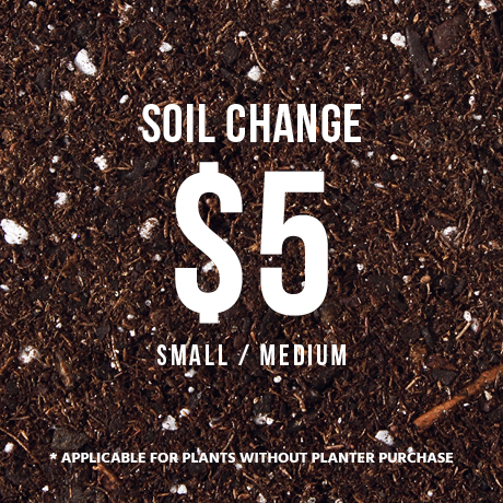 Soil Change $5