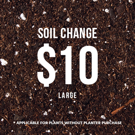 Soil Change $10