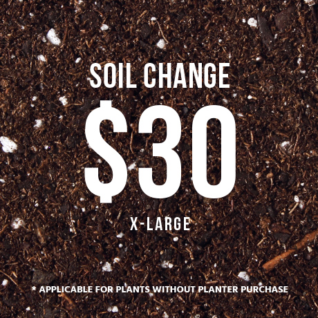 Soil Change $30
