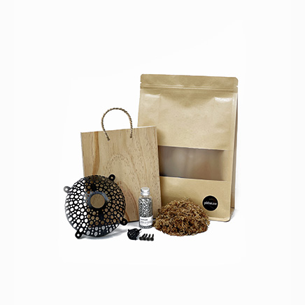 Platycerium Starter Kit