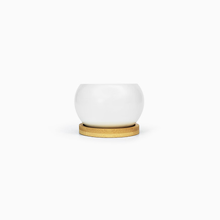 Oriel White