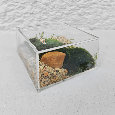 Boxscape 5