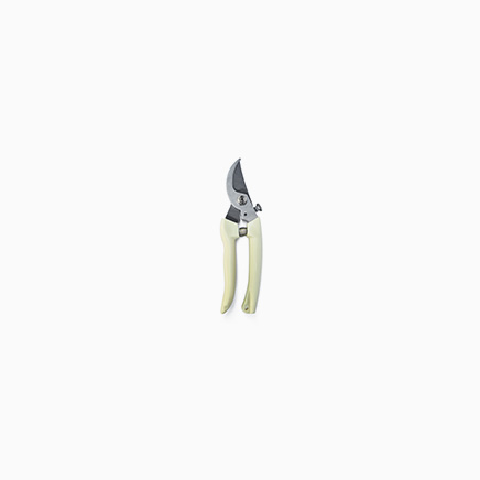 Pruning Shears Type 02