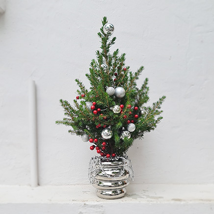 Picea Christmas Tree in Silver Ringo
