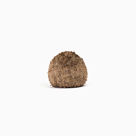 Kokedama