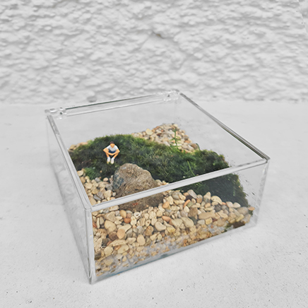 Boxscape 8