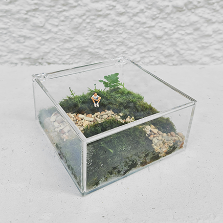 Boxscape 7